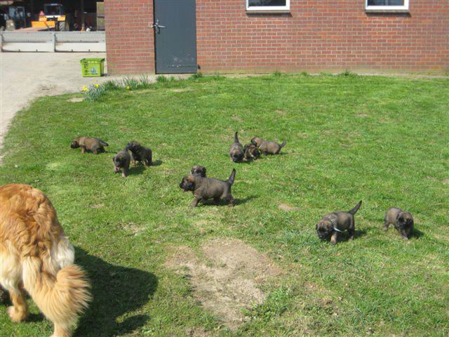 groepje met Nonna opzij