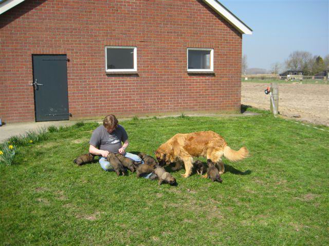 Marius met pups en Nonna Marius met pups en Nonna