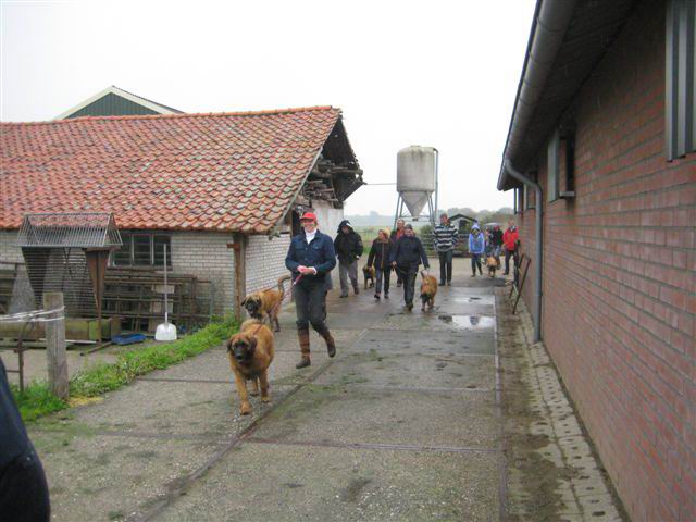 terugkomdag op weg naar de fotosessie