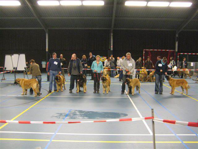 JHD 2009 Groepsbeoordeling Raf Jop Brazil Nonna Alexia Femke
