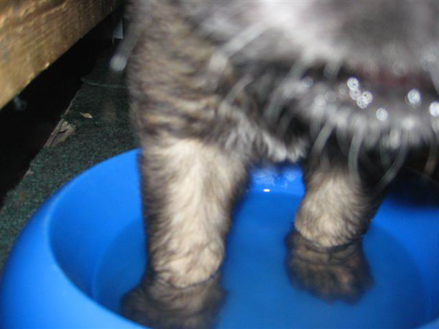 Balou handjes wassen voor het eten Balou handjes wassen voor het eten