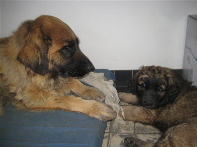 Nonna met Balou Nonna met Balou