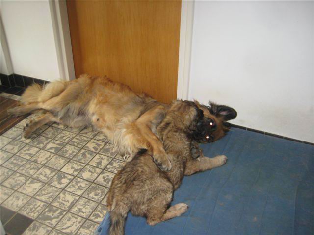 Balou met Nonna Balou met Nonna