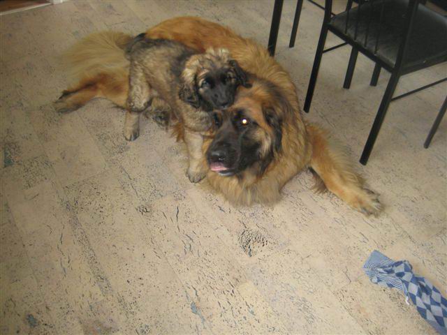 Balou met Zendor Balou met Zendor